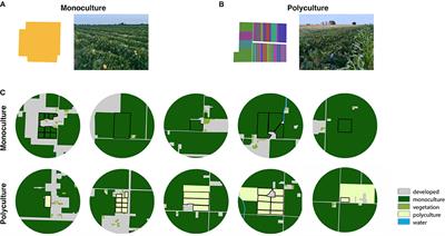 On-Farm Diversification in an Agriculturally-Dominated Landscape Positively Influences Specialist Pollinators